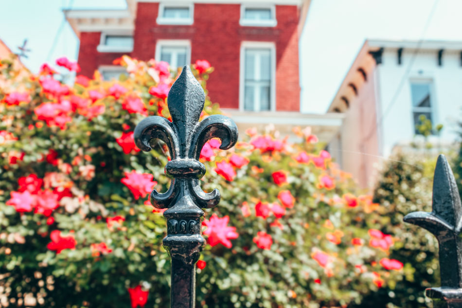 Wrought-iron Fleur de Lis, the symbol of Louisville, against a flowering bush.