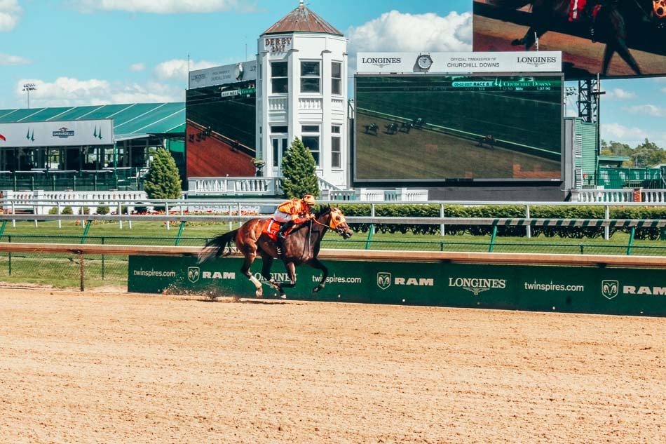 Horse on the Track at Churchill Downs in Louisville Kentucky