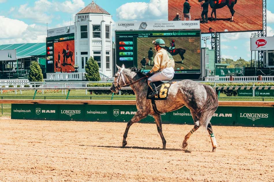 Horse on the Track at Churchill Downs in Louisville Kentucky