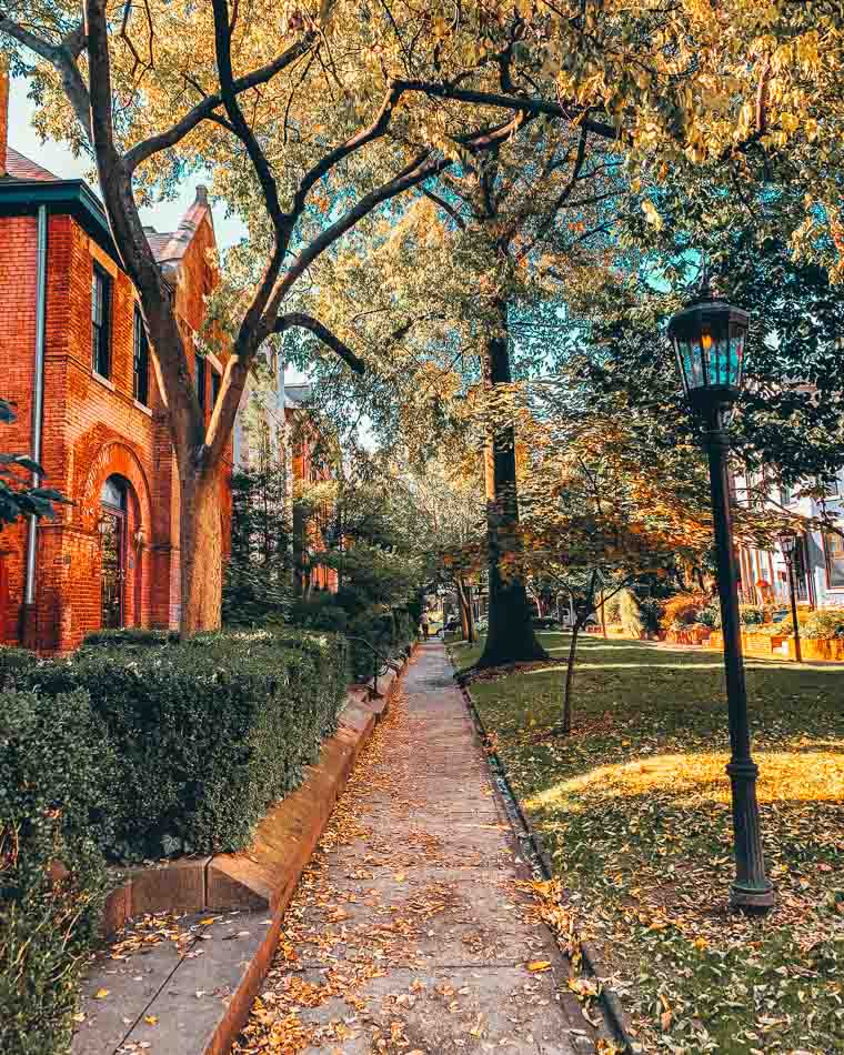 Belgravia Court in Old Louisville in the fall