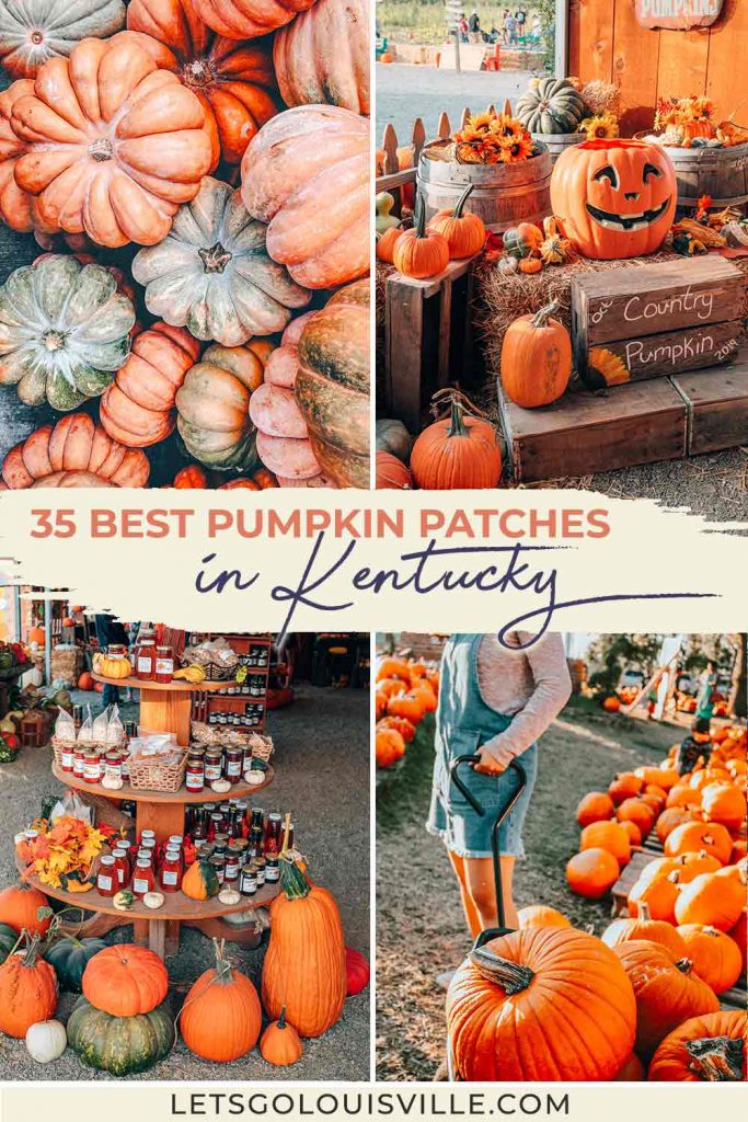 The best pumpkin patches in Kentucky, organized by region and proximity to Louisville, Lexington, and Cincinnati! Plus an interactive map.