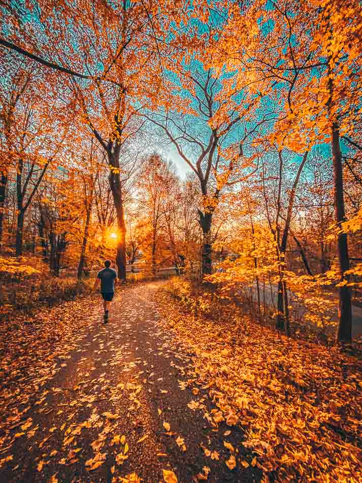 Cherokee Park in the Fall in Louisville Kentucky