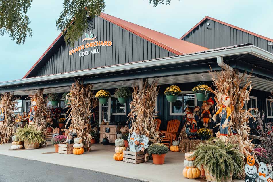 Evans Orchard Cider Mill, pumpkin patch and Apple Farm in Kentucky