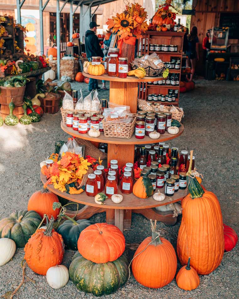 Display at a country store at a pumpkin patch