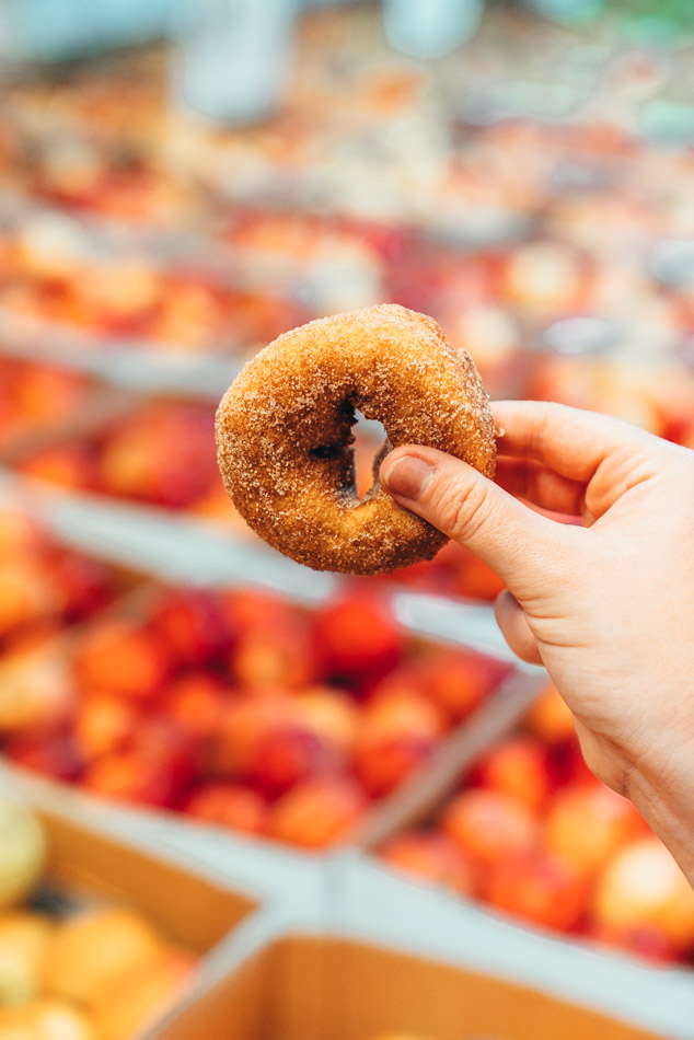 Apple cider donut in front of apples for sale at a farm in the fall