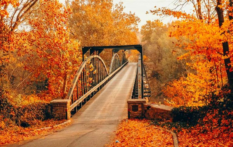 Fall in Kentucky: 14 Cozy Things to Do this Autumn