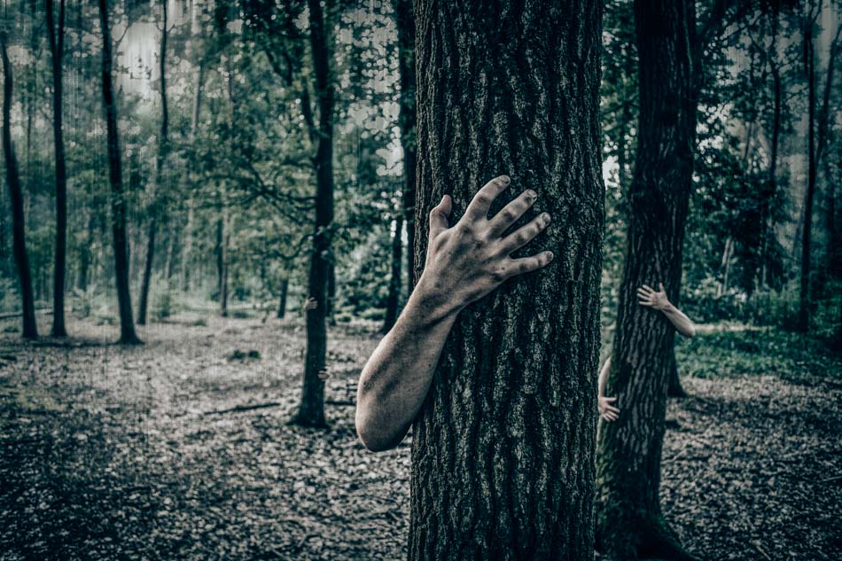 Hands gripping a tree in a spooky haunted forest