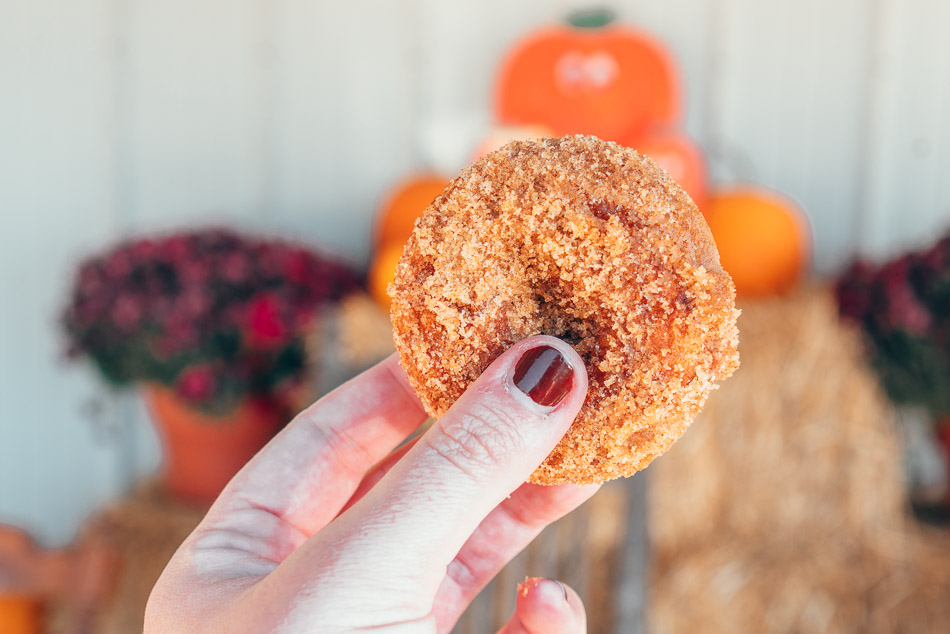 Apple cider donut from Mulberry Orchard
