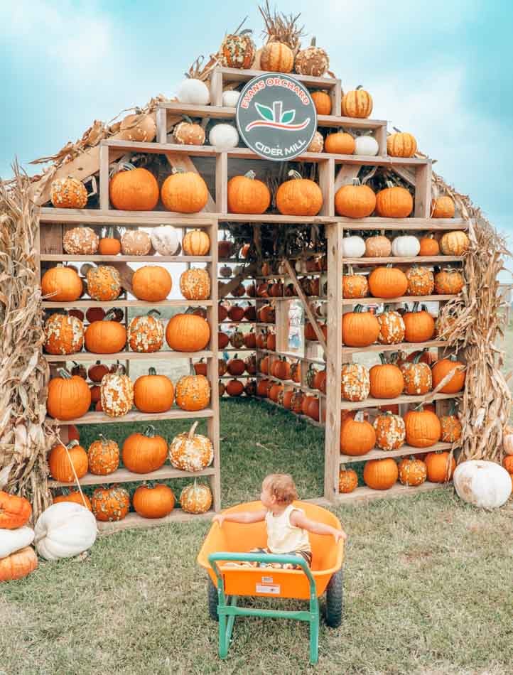 Pumpkin house at Evan's Cider Mill in Kentucky