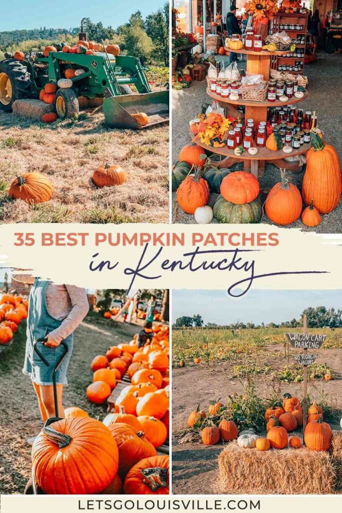 The best pumpkin patches in Kentucky, organized by region and proximity to Louisville, Lexington, and Cincinnati! Plus an interactive map.