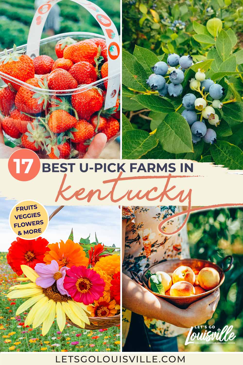 Complete guide to the best u-pick farms in Kentucky (and southern Indiana) from spring flowers to summer berries and fall apple orchards & pumpkin picking!