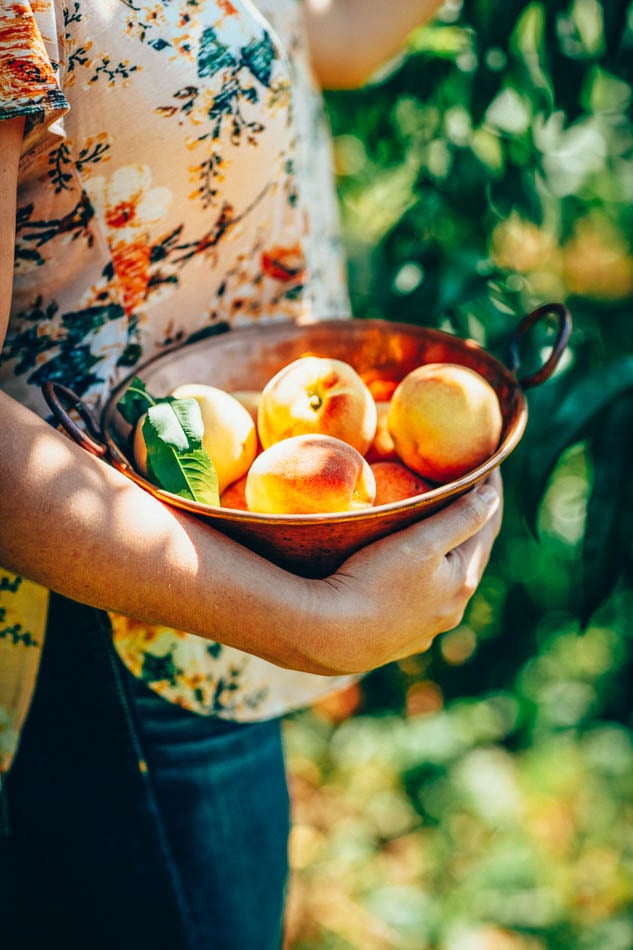 U Pick Peaches Kentucky