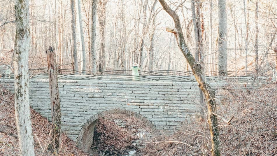 bridge-at-the-moss-gibbs-garden-trail