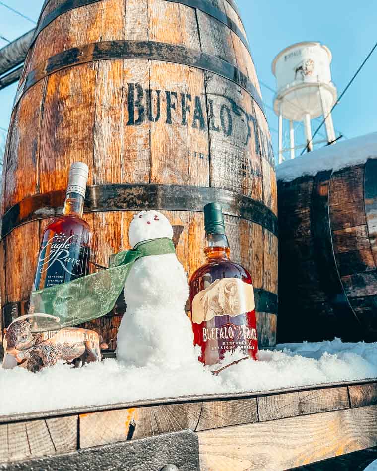 buffalo trace in the snow in franklin county, ky
