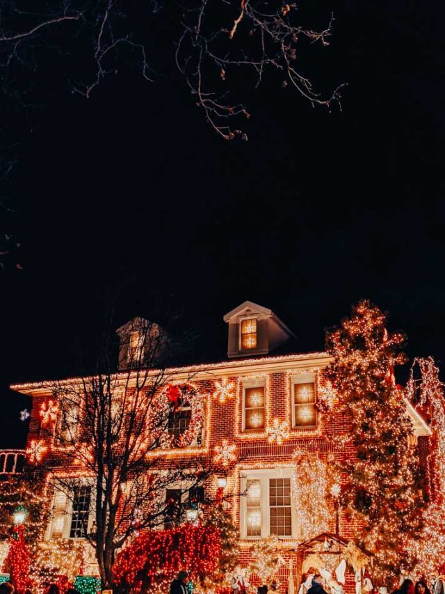 Christmas Lights in Louisville, Kentucky