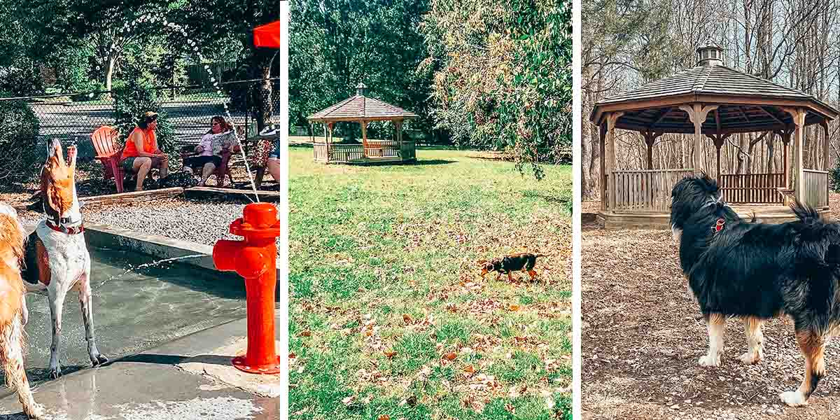 9 Dog Parks in Louisville, Kentucky (& 2 Dog Park Bars!)