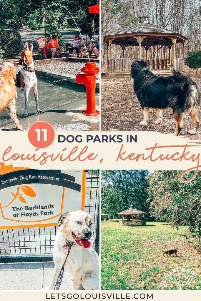 If there is one thing Louisville loves, it’s dogs. I have never experienced a more dog-friendly environment. Not only friendly but welcomed, cherished and celebrated. Like, please bring your dog we want to pet him kind of place. And Louisville is the first in Kentucky to have not one, but TWO dog park bars. Not to mention the nine dog parks in Louisville!