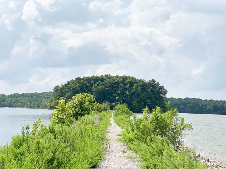 honker lake trail land between the lakes ky