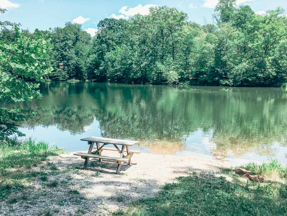 picnic table by lake monroe in bloomington indiana
